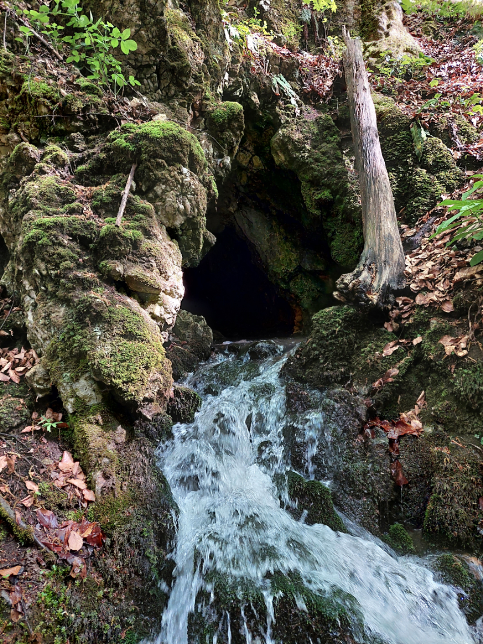 Peştera Poleva  - Image 1